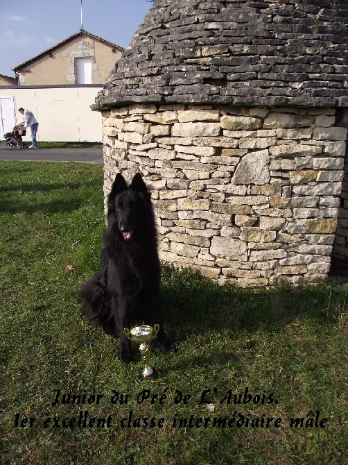 du pré de l'aubois - Exposition internationale et spéciale de race Périgueux 13 Mars 2016