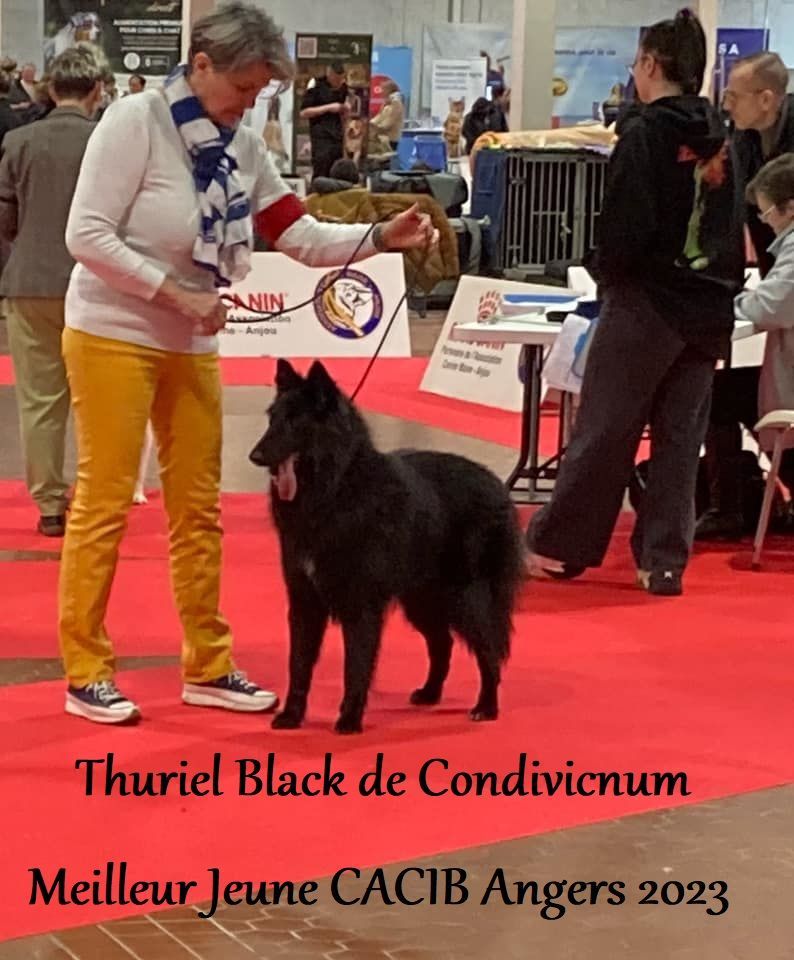 CH. Thuriel black De condivicnum