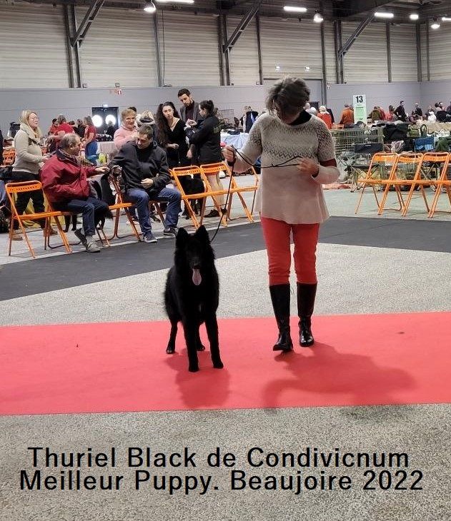 Thuriel black de condivicnium